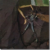 Cover Cover