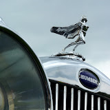 Cars in the park 2011