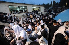 img17955 img17955