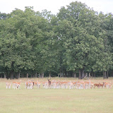 IMG_2785.JPG