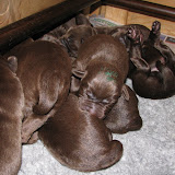 29sept2010