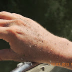 DSCN2978.JPG