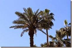 IMG_6643 IMG_6643