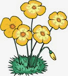 Flowers_yellow with grass Flowers_yellow with grass