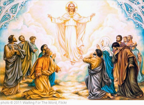'Jesus Ascension to Heaven 23' photo (c) 2011, Waiting For The Word - license: https://creativecommons.org/licenses/by/2.0/