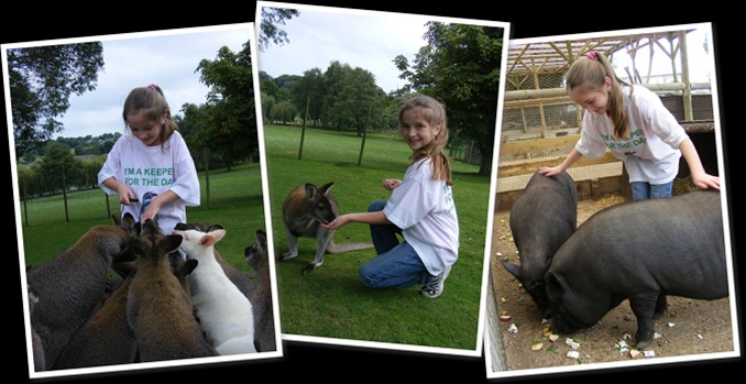 View Ananya Wright- JWE 2