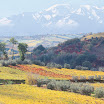 panorama+montagna5x3.jpg
