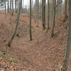 singold-bote_waldlehrpfad-schwabegg_042.jpg