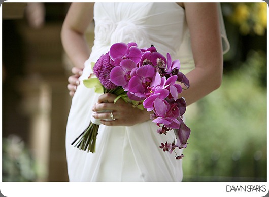 Cheif-Hosa-Dawn-Sparks-13 cori cook Cheif-Hosa-Dawn-Sparks-13 cori cook