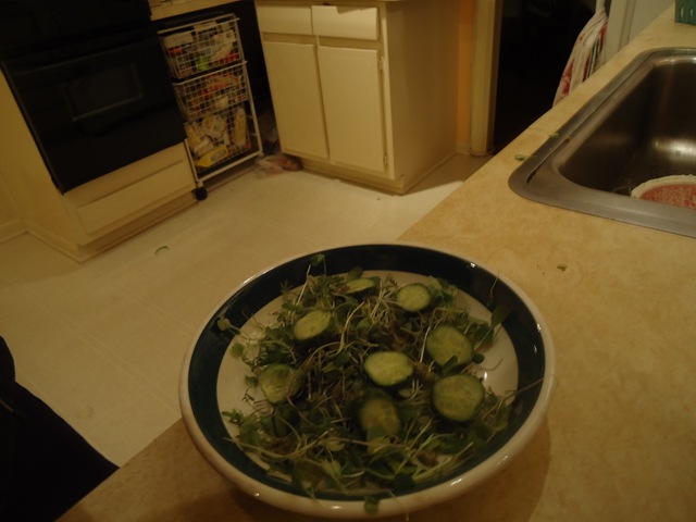 [DSC08835%255B1%255D.jpg]