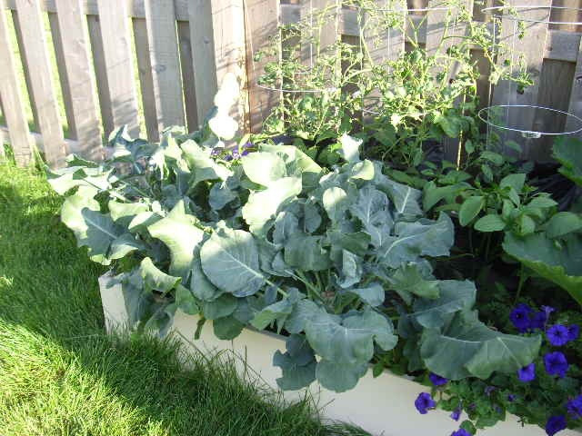 [DSCI0072%255B5%255D.jpg]