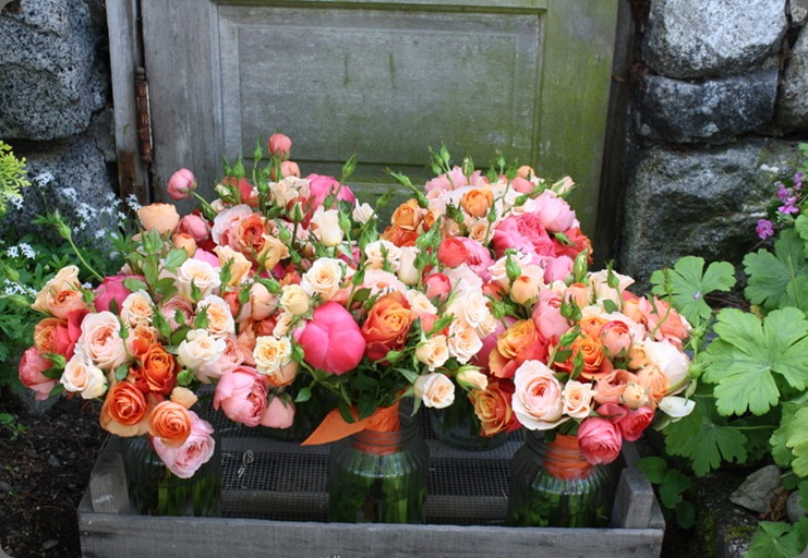 Tam_GardenRosePeonyRanunculaOrangeAndPink_Bridesmaids.6.2011 blush custom floral