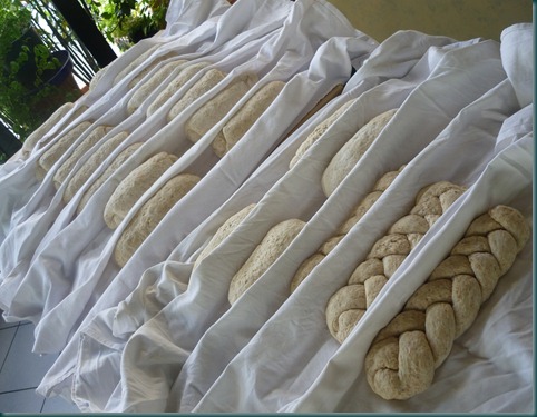 accademia del tartufo pane panificazione accademia del tartufo pane panificazione