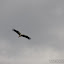 DSC_0912.JPG