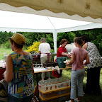 image_from_picasa