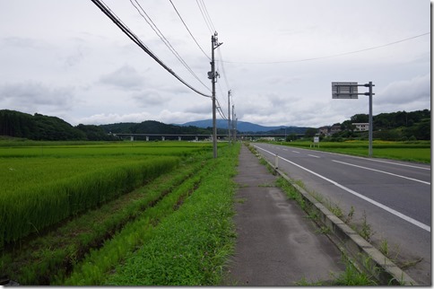 IMGP7127 IMGP7127