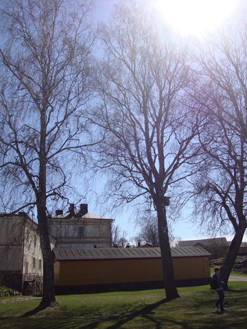 [DSC02847%255B4%255D.jpg]