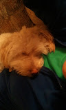 2012-01-03 23.31.35.jpg