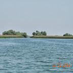 DSCN0213.JPG