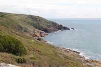 IMG_7964.JPG Photo