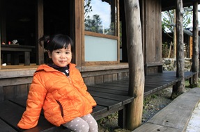 IMG_6782 IMG_6782