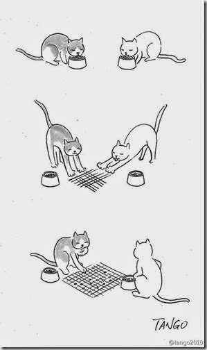 humor gatos (2) humor gatos (2)