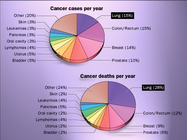[Cancer%2520cases%2520%2526%2520death%2520per%2520year-lungs%255B2%255D.jpg]