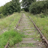 dsc01237.jpg