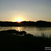 za rz.Odrą są już Niemcy... dsc05724.jpg