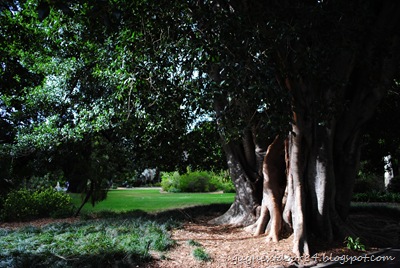 [DSC_0127%255B8%255D.jpg]