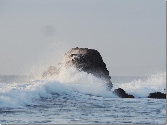 Pichilemu_DSC02667