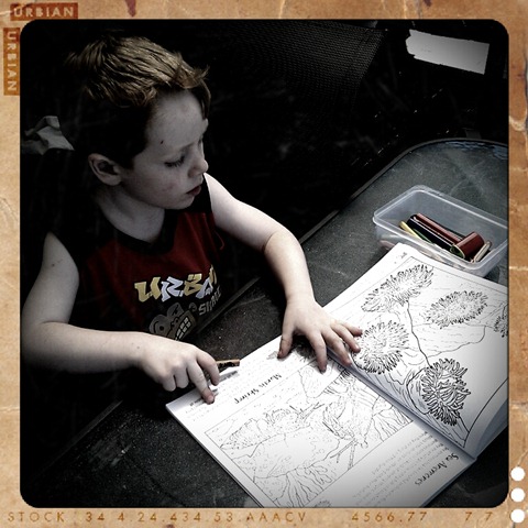 [4.%2520colouring%2520in%255B3%255D.jpg]