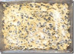 blueberry cake ready to bake