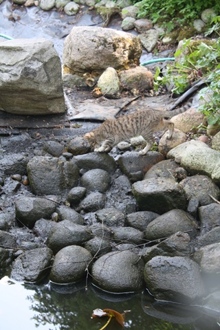 [IMG_3159%255B3%255D.jpg]