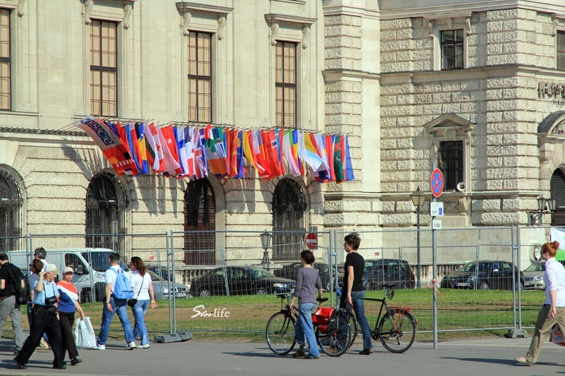IMG_7881 copy