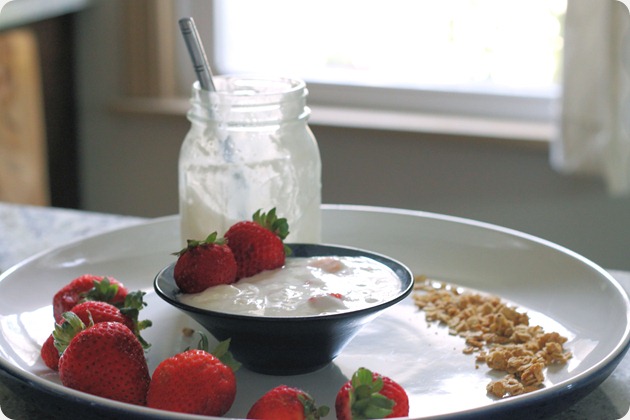 homemade_yogurt_with_granola