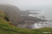 IMG_9299.JPG Photo