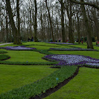 DSC_0437.jpg