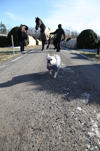 I wonder if we can sneak by the donkey paddock.