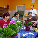 IMGP7445.jpg