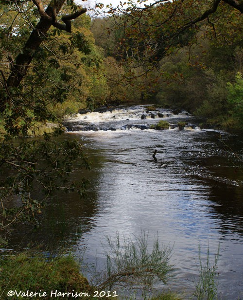[24-waterfall%255B2%255D.jpg]