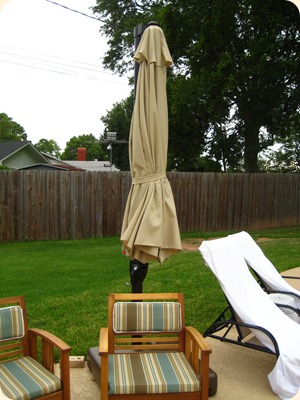 IMG_3486 IMG_3486