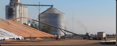 unloading grain from a truck