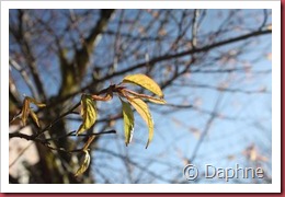 IMG_4840 IMG_4840
