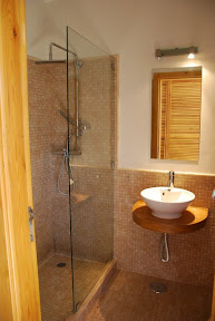 Downstairs guest toilet and shower