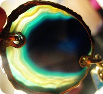 IMG_4954 IMG_4954
