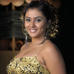 Namitha Hot (15).jpg