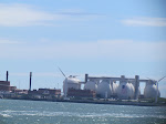 IMG_1559.jpg