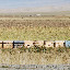 Tianshan - Ruches au bord de la route