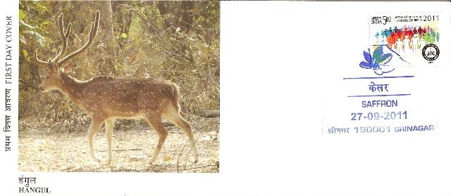 [Chinar-2011%2520003%255B5%255D.jpg]